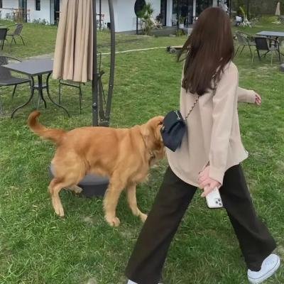 离巨星二十英尺